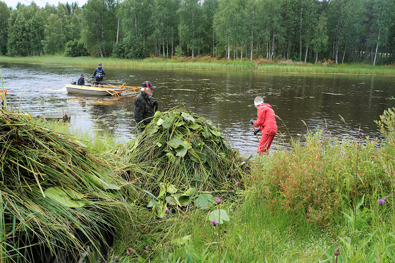 Kunnostustöitä VESKU II-hankkeessa.